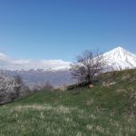 منظره کوه دماوند از دشت آزو